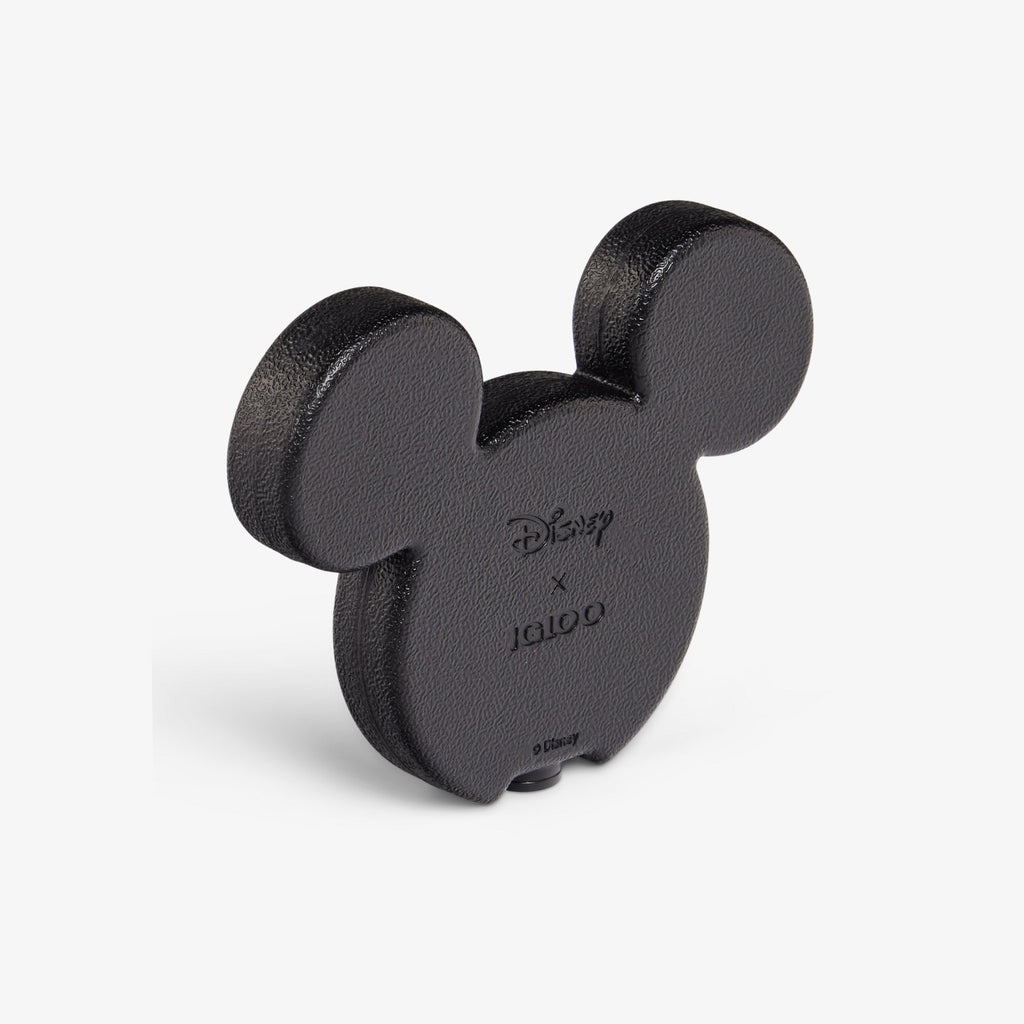 Disney Mickey Mouse Ice Block 2-Pack R2 - Black - Product View